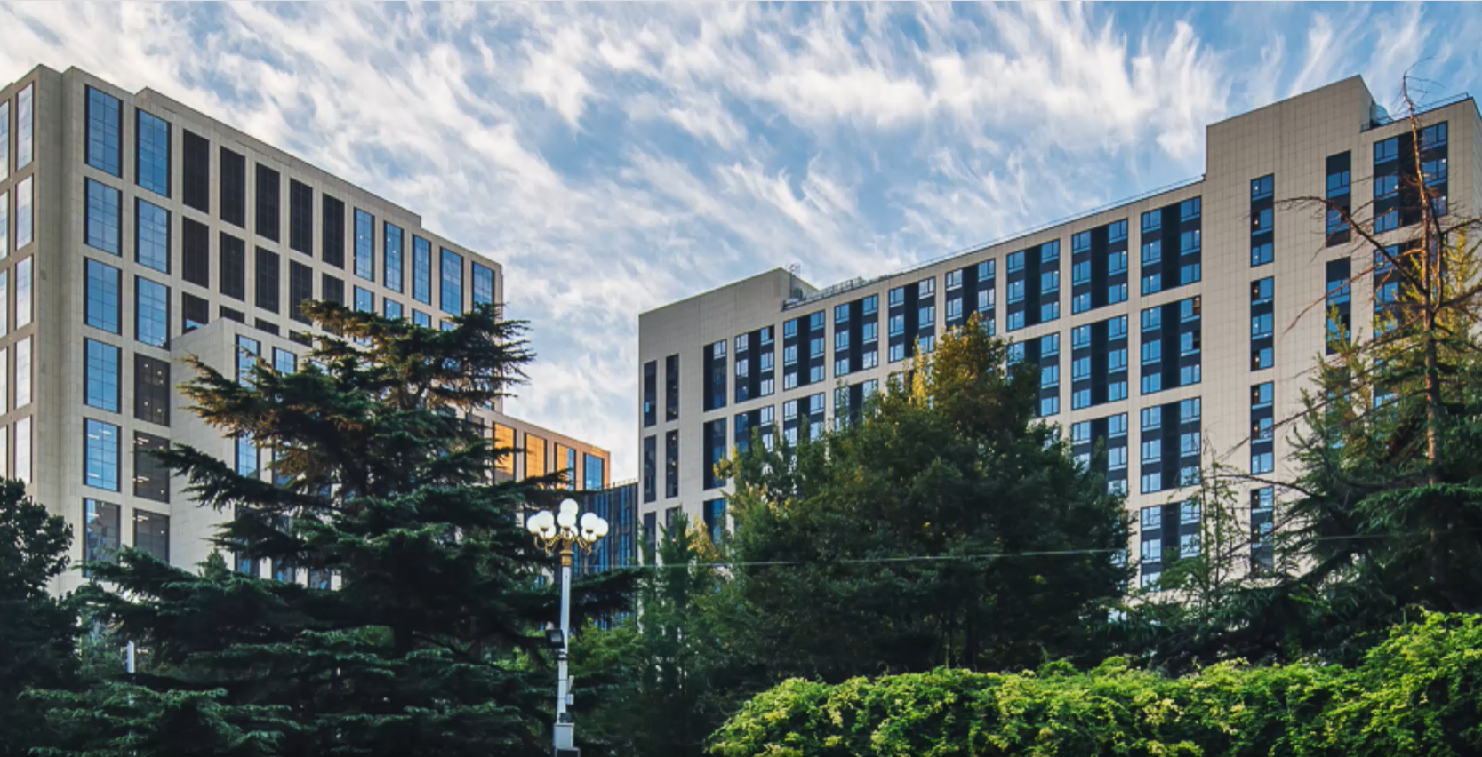 7M体育即时比分