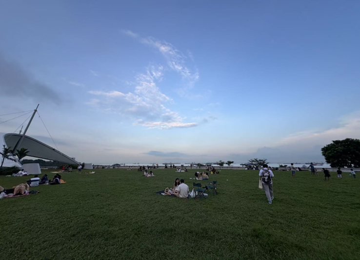 7M体育即时比分